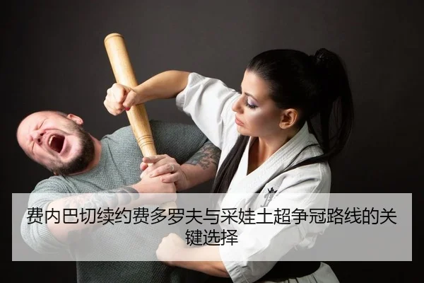 fei-nei-ba-qie-xu-yue-fei-duo-luo-fu-yu-cai-wa-tu-chao-zheng-guan-lu-xian-de-guan-jian-xuan-ze-2-996.jpg