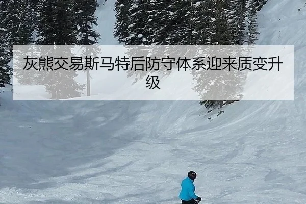 灰熊交易斯马特后防守体系迎来质变升级